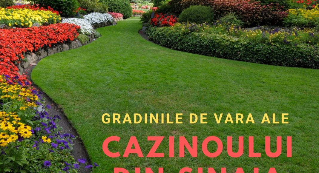 cazino sinaia