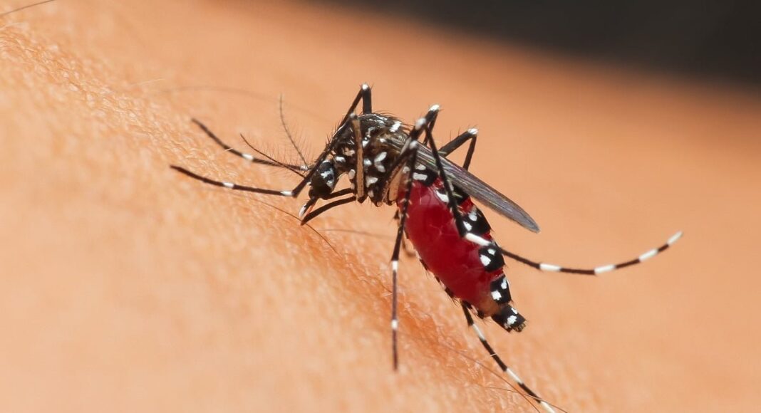 west nile