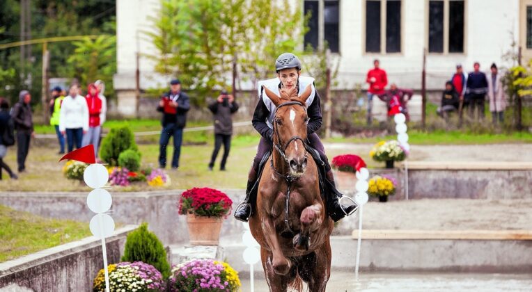 karpatia horse show