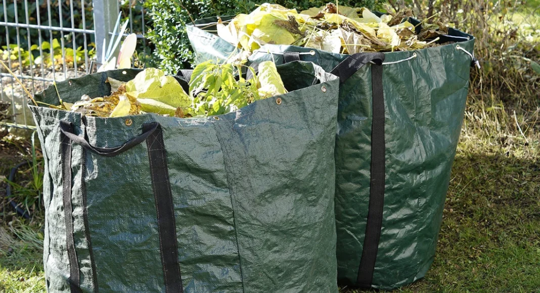deseuri vegetale