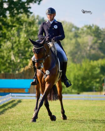 dresaj karpatia horse show
