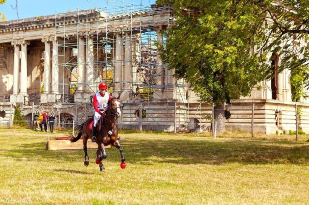 dresaj karpatia horse show