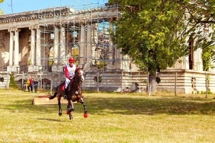 dresaj karpatia horse show