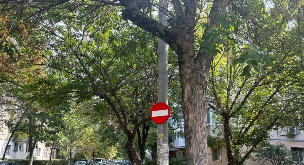 sens unic strada frasinet ploiesti
