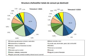 date statistice cheltuieli români