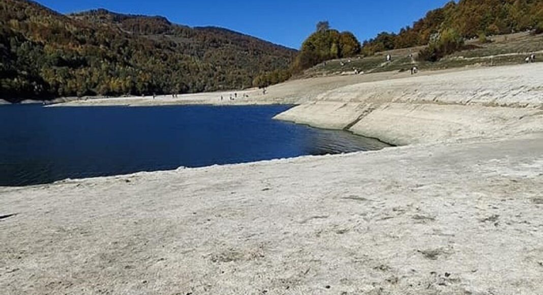 paltinu