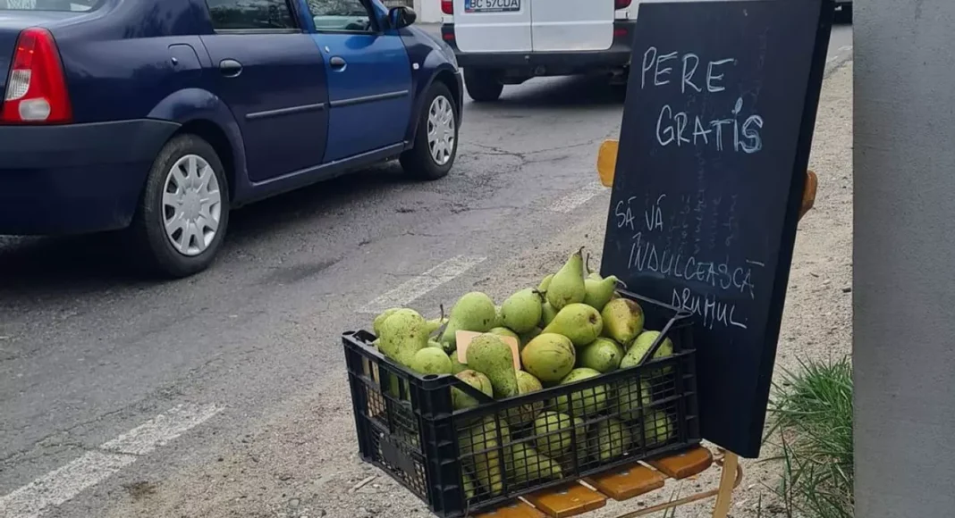pere gratis dn 73 bran