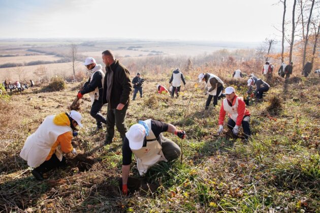 rompetrol plantare copaci