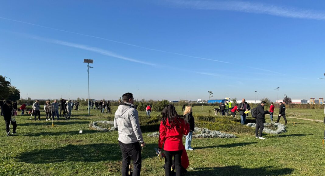 lukoil plantare parc vest