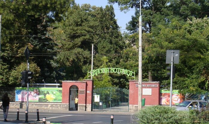 gradina botanica