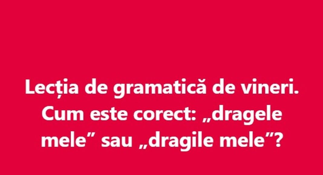 gramatica