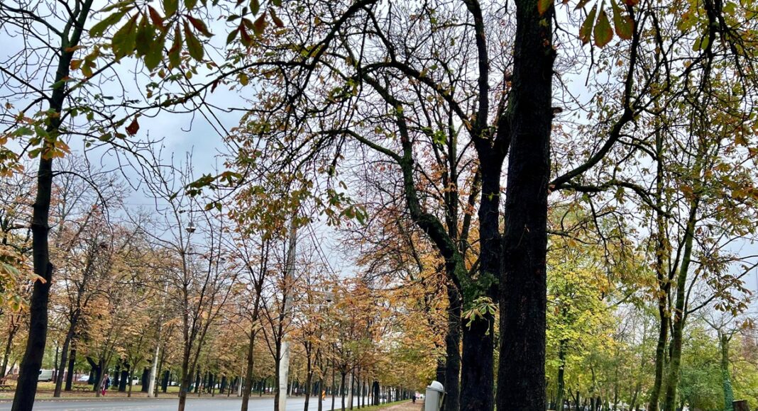 toamna tarzie bulevardul castanilor ploiesti 2024