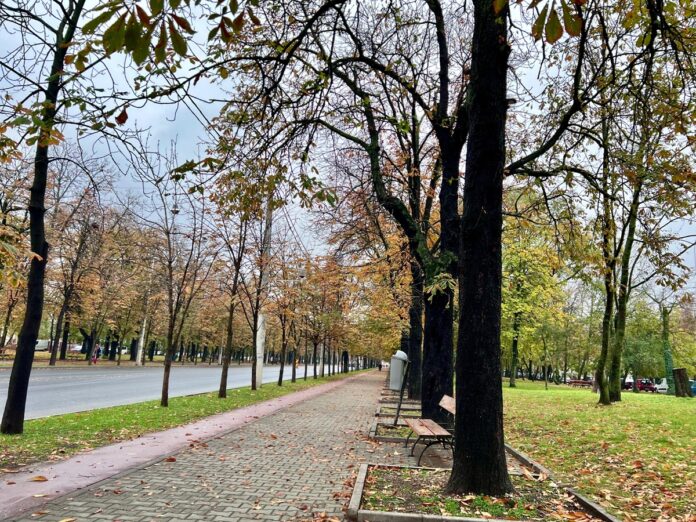 toamna tarzie bulevardul castanilor ploiesti 2024