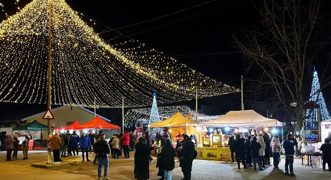 targ craciun boldesti scaeni