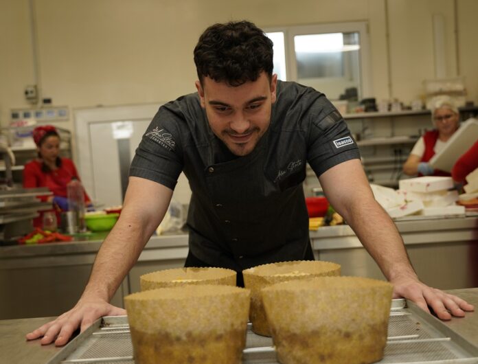 alex state cozonaci panettone