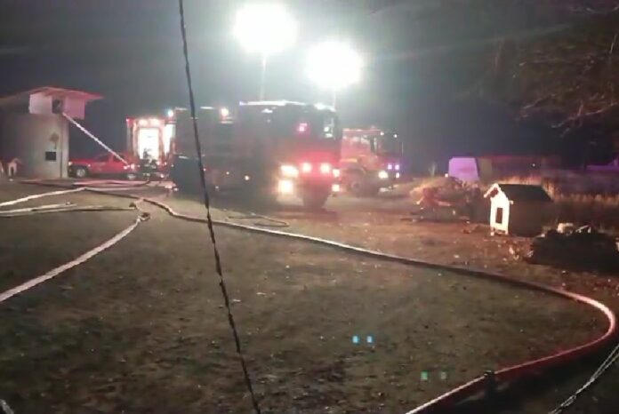 incendiu fermele cojocaru prahova