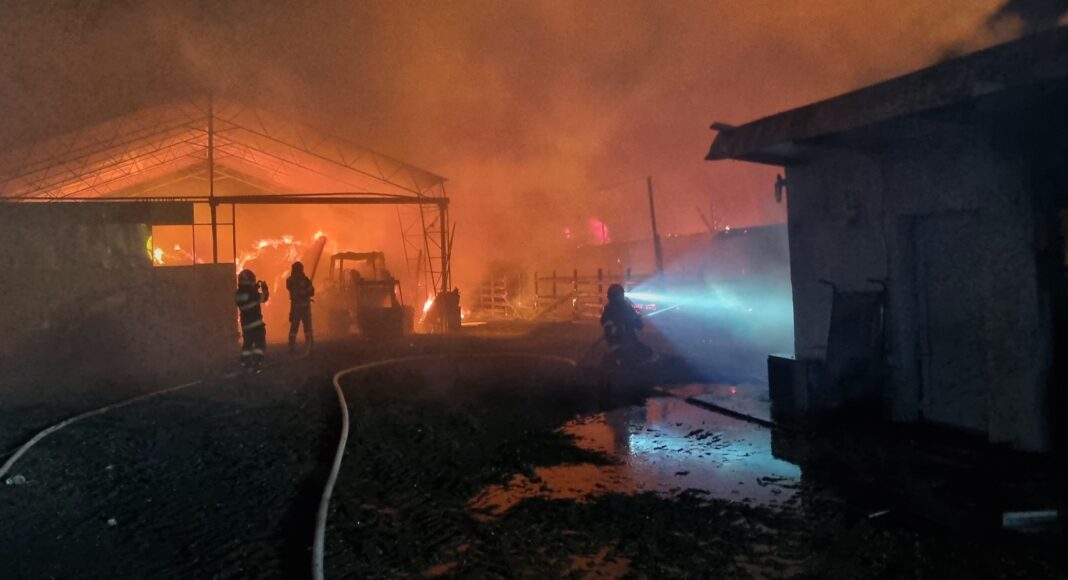 incendiu stana balta doamnei