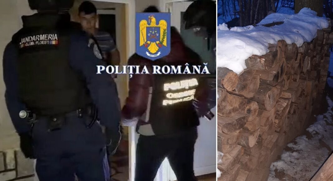 perchezitii lemne