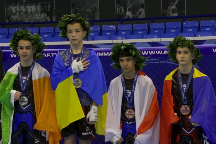 robin mihai