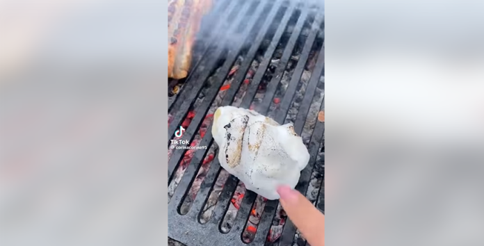 zapada falsa tik tok