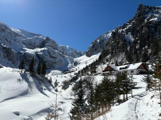 risc avalansa bucegi