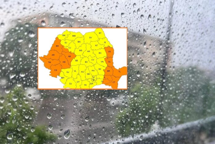 cod vijelii prahova