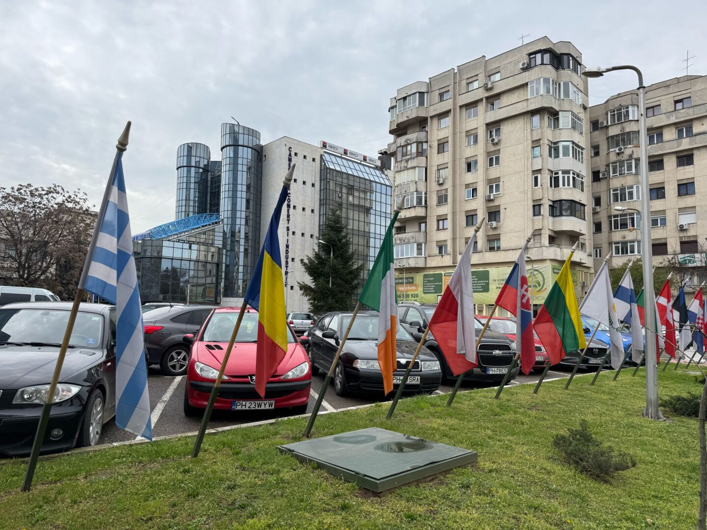 steaguri primaria ploiesti