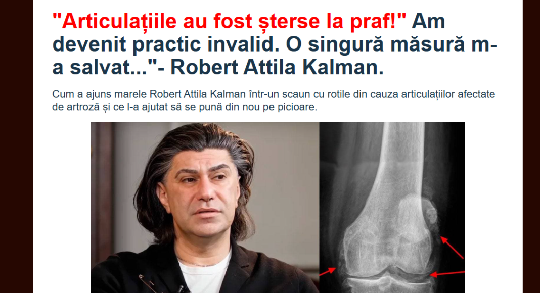 fake balerin