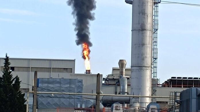facla lukoil