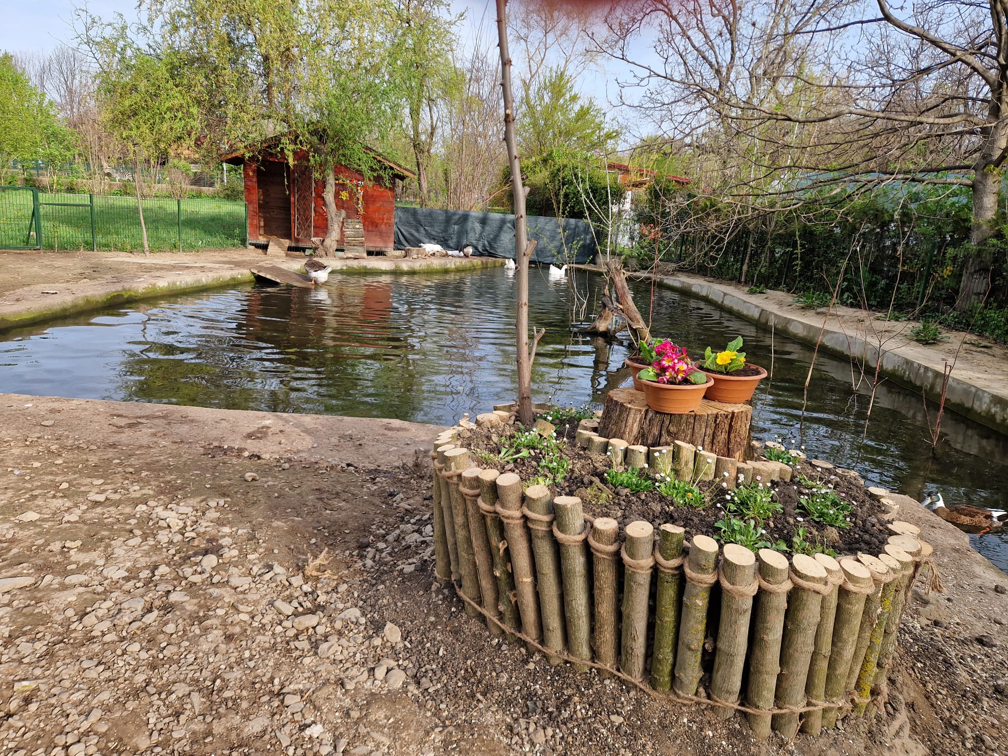 grădina zoologica Bucov