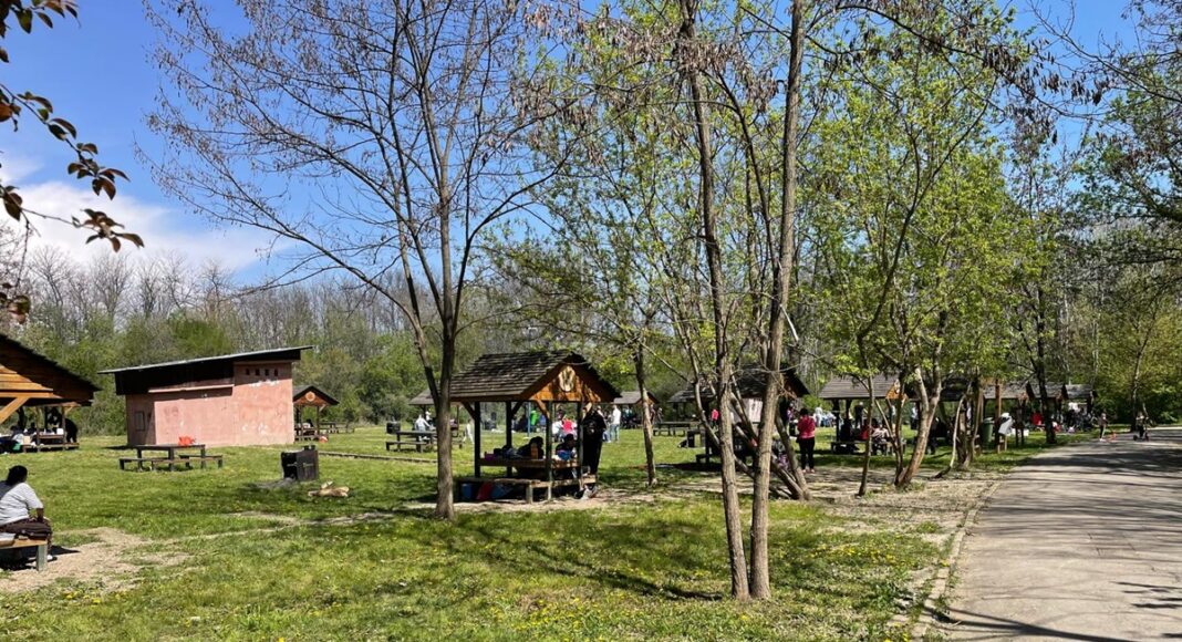 grătare iarba verde