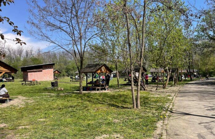 grătare iarba verde