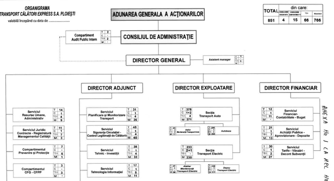 noua organigrama TCE