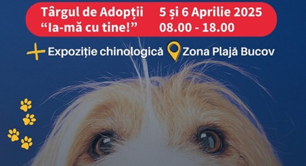 targ adoptii caini