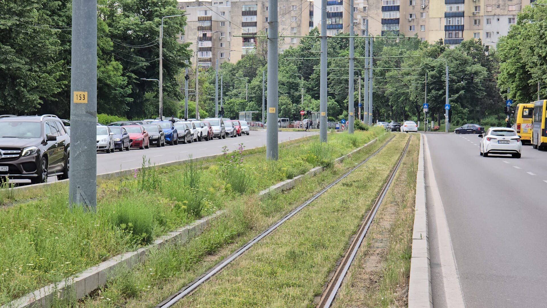 ambrozie linie tramvai ploiesti