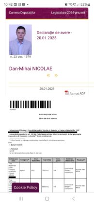 dan mihai nicolae declaratie de avere
