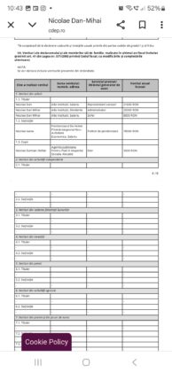 dan mihai nicolae deputat