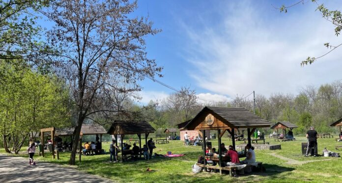 grătare Parcul Bucov