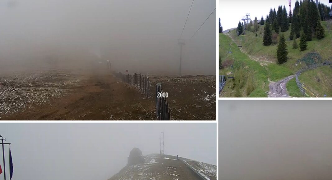 ninge Cota 2000 Sinaia