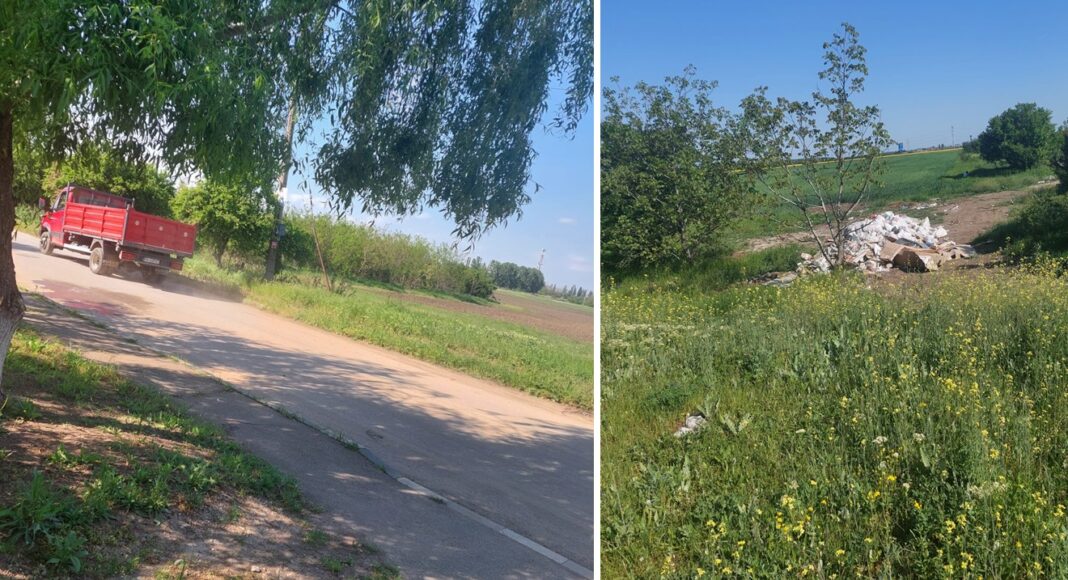 amendă