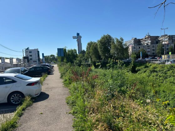 vegetatie ploiesti