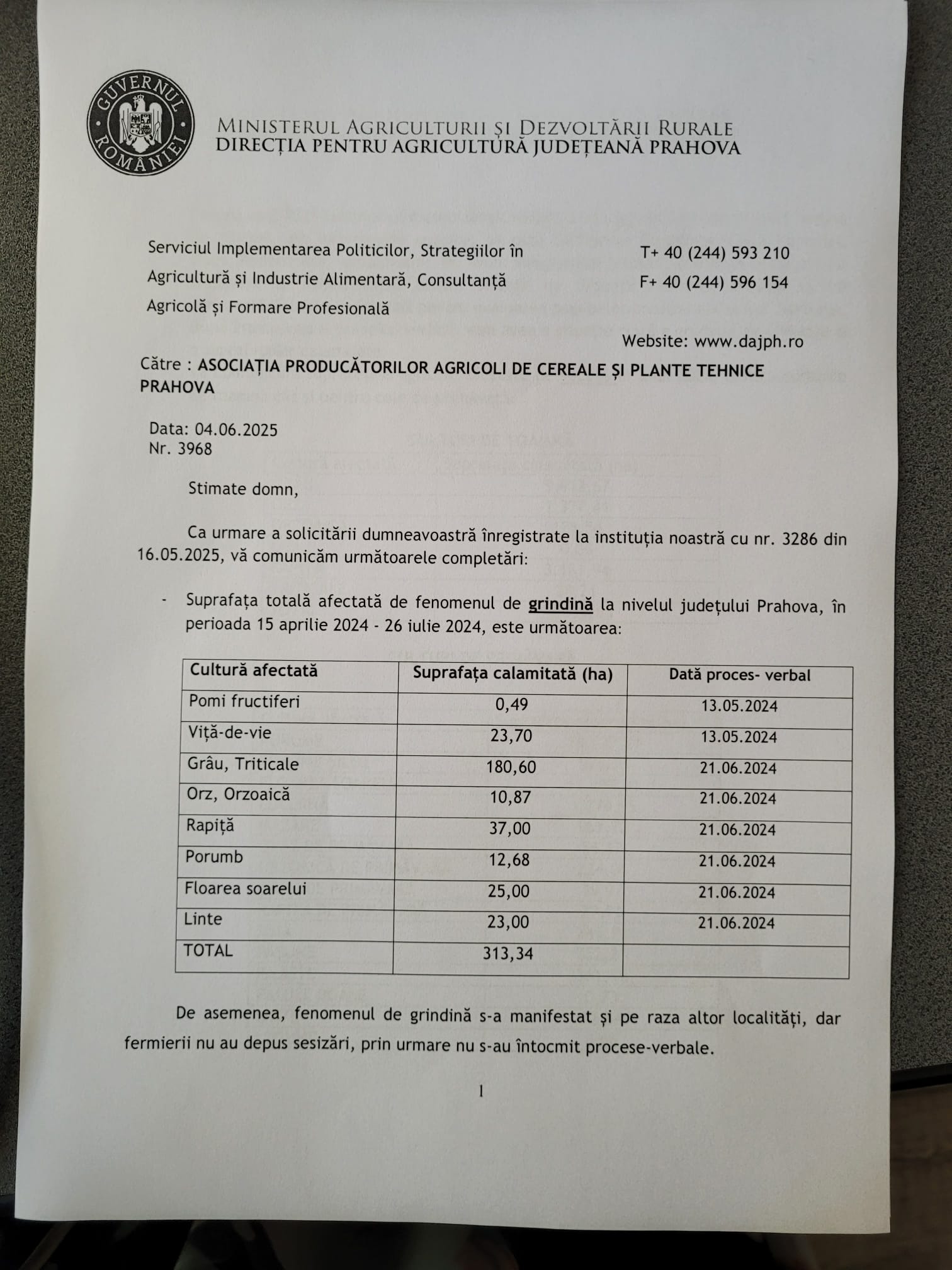 culturi afectate grindina 2024