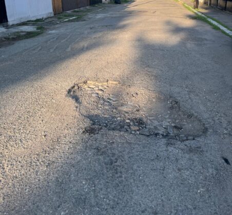 strada florilor ploiesti
