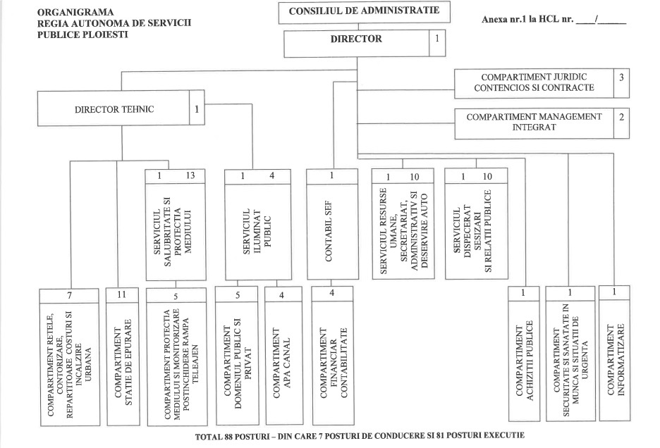 organigrama RASP Ploiești