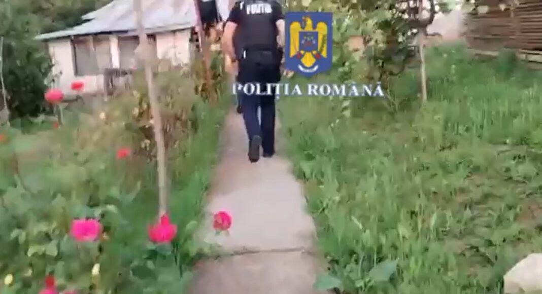 politie perchezitii