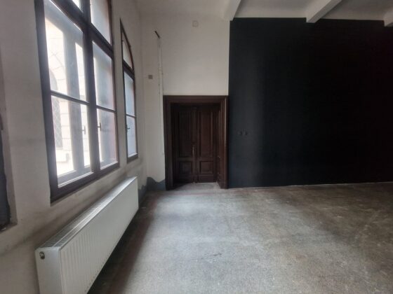 sala ion stratan palatul culturii