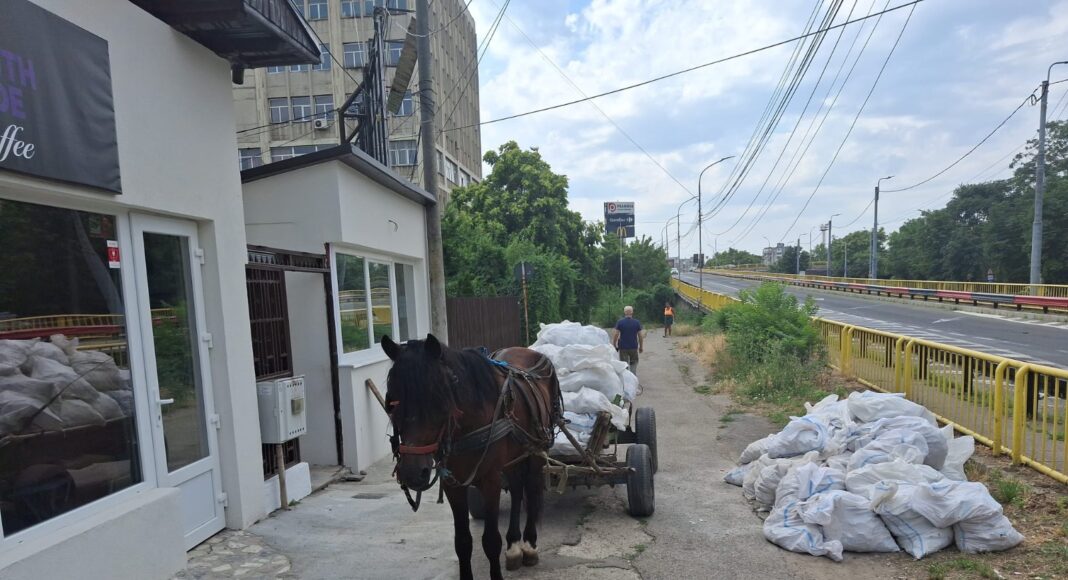 moloz amenda ploiesti