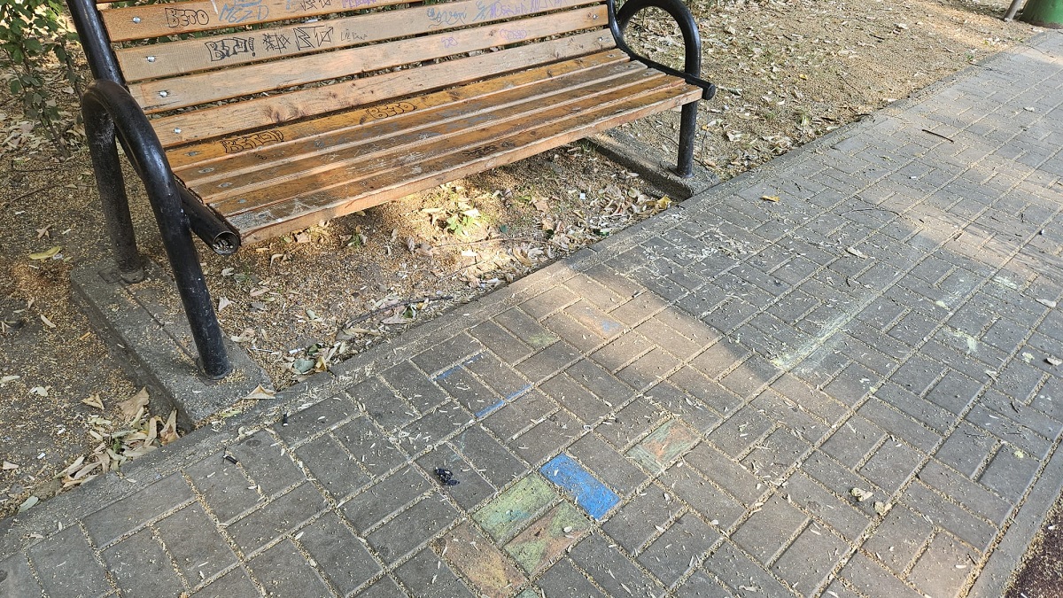coji seminte banca