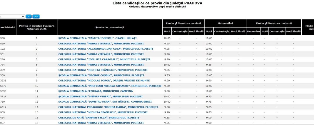 evaluare nationala