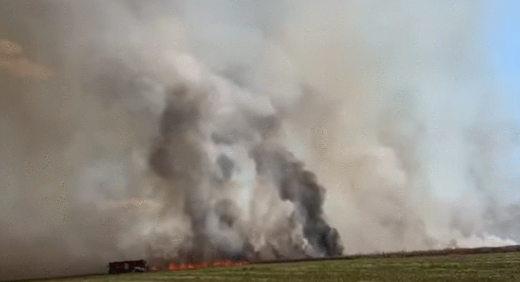 incendiu vegetatie prahova